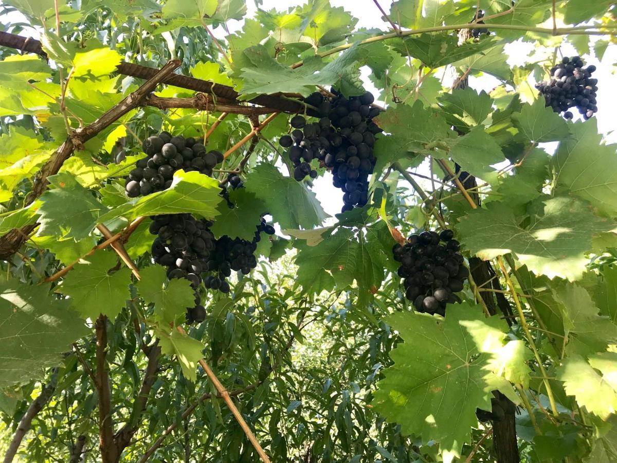 Ekas Rosengarten Gori Zewnętrze zdjęcie