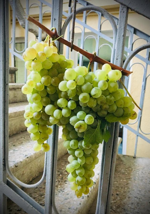 Ekas Rosengarten Gori Zewnętrze zdjęcie